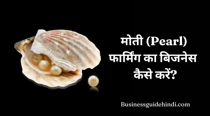 pearl farming business plan hindi